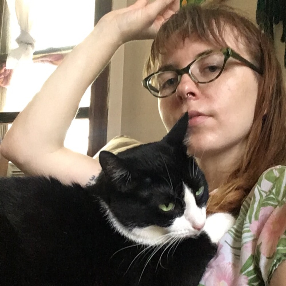 Meet your Posher, Stevie